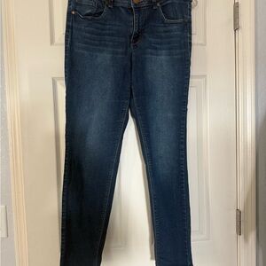 1822 Denim Dark Blue Skinny Jeans